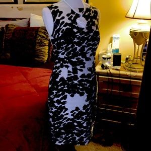 Ann Taylor knee length cotton print dress